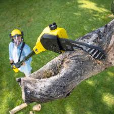 Best Landscape Design and Installation  in Corona, CA